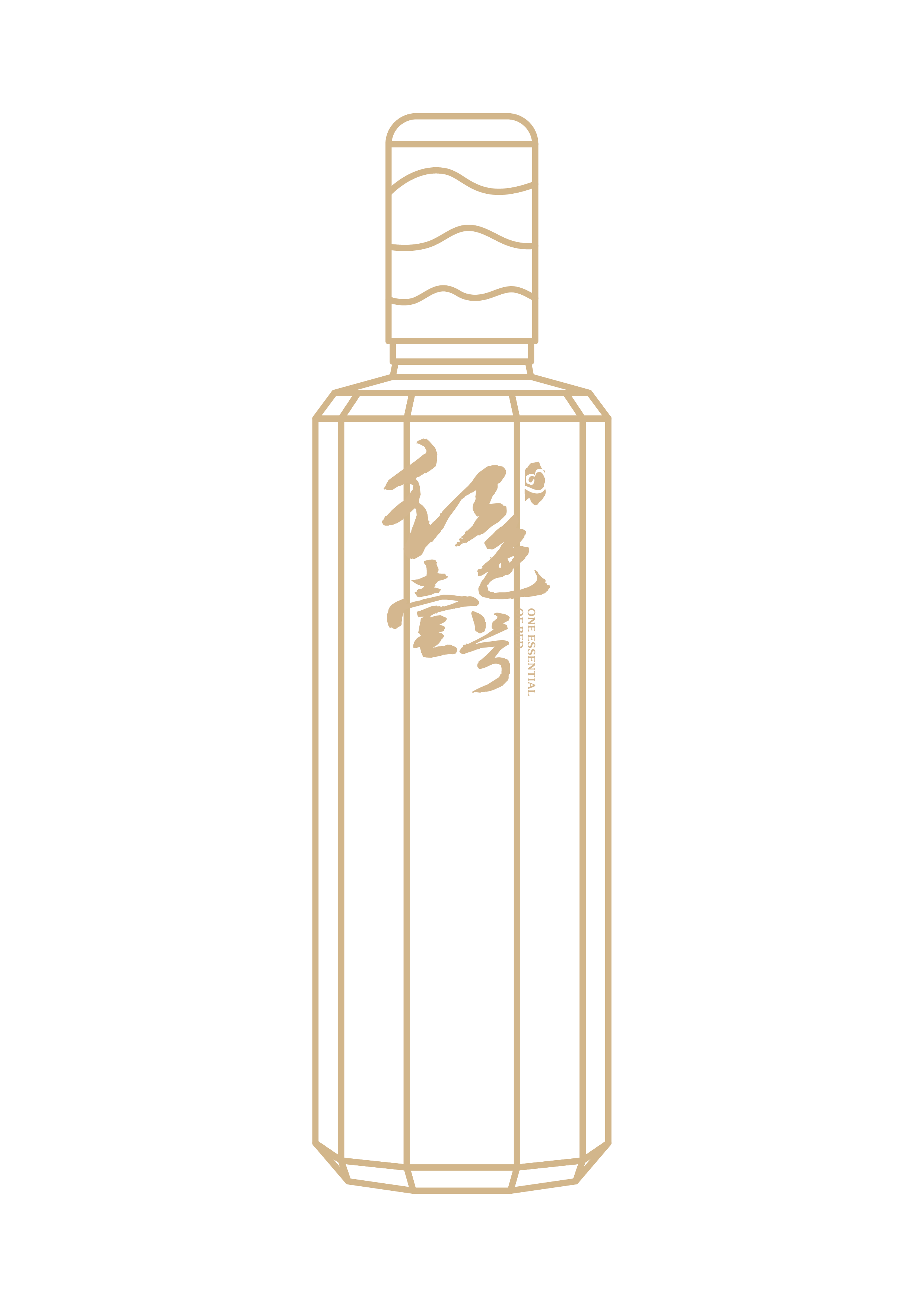 国礼酒瓶装饰.png